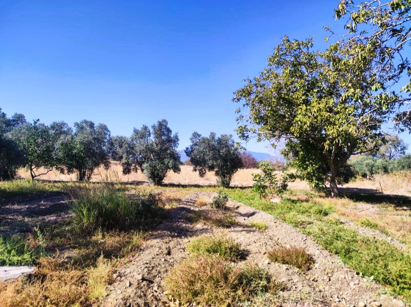 Havran Büyükdere Mah`daTarla. - 18